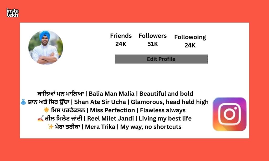 instagram bio for punjabi (3)