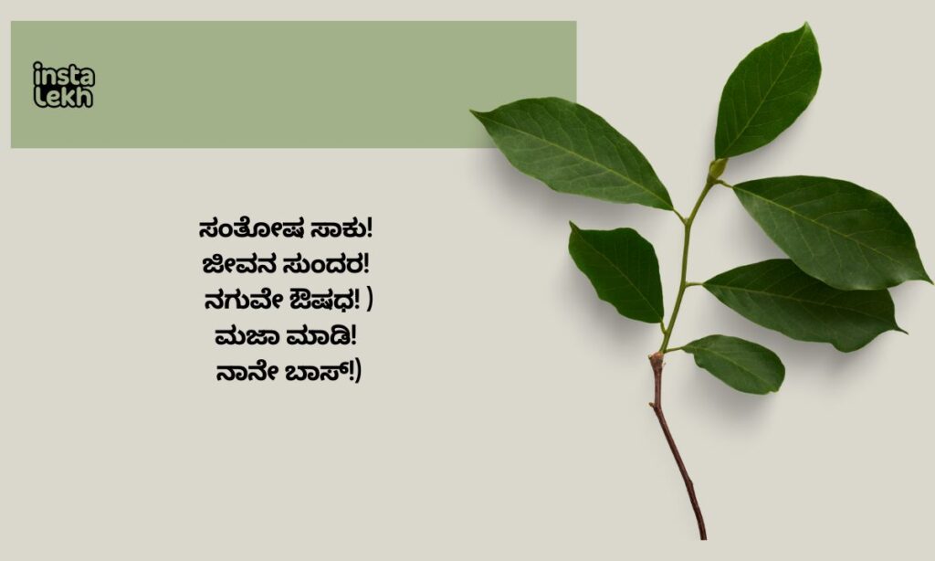 Kannada Captions 